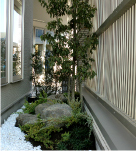 フロンティア建設の施工例／アイテム／庭木