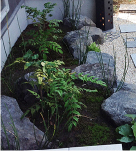 フロンティア建設の施工例／アイテム／庭木